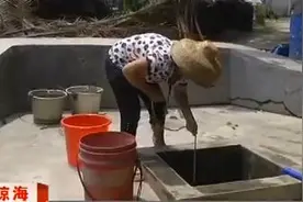 持续高温井水干涸图片