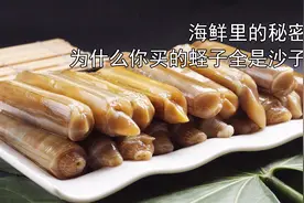 海鲜解密：买大蛏子的时候一定要看清这个位置，不然吃满口沙子视频封面