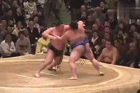 日本相扑比赛！开始了吗？已经结束了，全场丢垫子视频封面