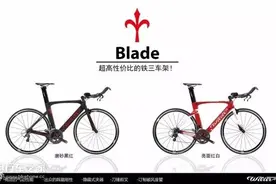 超高性价比的铁三车架：Wilier Blade现已抵达图片