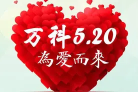520正式更名房地产营销日：沈阳地产商经典案例放送图片