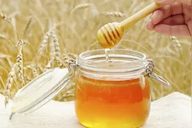 枸杞蜂蜜的功效与作用图片