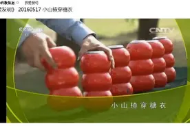 央视《我爱发明：小山楂穿糖衣》播出后，糖8糖葫芦机火了图片