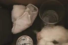 这只惟一幸存的蛋 还能孵出小鸟吗？图片