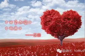 原创首发 | 素白唯美诗歌《四季如歌》（外二首）图片