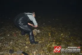 溆浦大渭溪：夏夜小溪捕鱼之乐图片