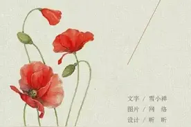 雪小禅 | 锦上花图片