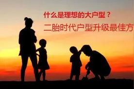 什么是理想的大户型? 寻觅二孩时代户型升级最佳方案图片