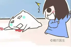 怕狗狗出意外？别慌，这篇急救攻略很有用！图片