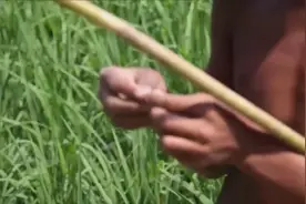 小孩竹竿钓鱼，你是否看到了你小时候的影子？视频封面