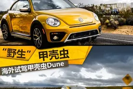 “野生”甲壳虫 甲壳虫Dune海外试驾图片