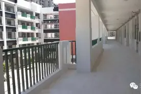 南阳市第三十一小学校今年秋期正式招生图片