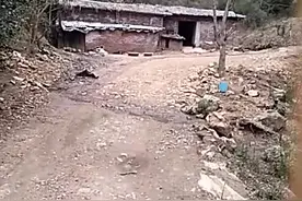 赣县韩坊镇南甫山石蛙养殖场。视频封面