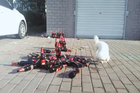 当街吃烧烤 人走垃圾留图片