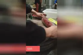 原来饭店里的辣椒是这么切的 这样才快视频封面