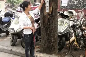 社区设置宠物便便纸箱为狗狗提供“厕纸”图片