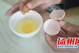 奇！“蛋中蛋”你见过吗？图片