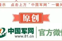 独家｜美陆军手册设置5个假想敌，重点瞄准高加索地区图片