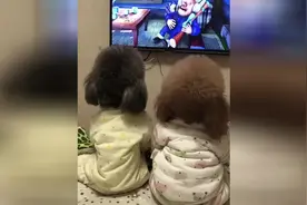 这么小的孩子烫头染发，对小孩身体伤害特别大视频封面