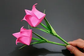 很漂亮的郁金香花捧折纸，折法真的很简单，做束放家里马上有亮点视频封面