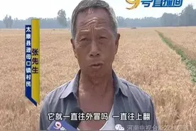 太稀奇麦地现怪井 开水往上冒图片
