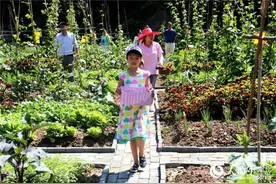 湖北丹江口：孩子走进“开心农场”感受劳动快乐图片