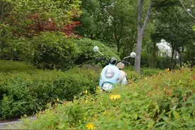 台铃萌月，高颜值的担当，美到违反广告法图片
