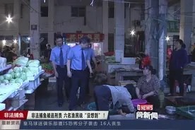 湖北：禁渔期有野生鱼卖？！检察监督，多人被追刑责图片