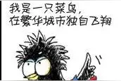 我是一只小小鸟，想要飞，却怎么样也飞不高！图片