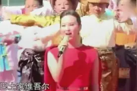 王雅洁《中华民族唱起来》，56个民族唱成一首歌！视频封面