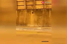 高速路上遇到超级跑车车队，只有静静地看的份视频封面