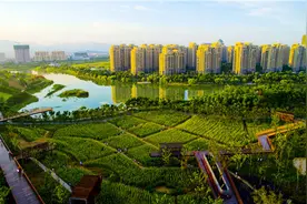 秒懂什么是“城市双修”图片