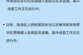 临淄区人民检察院公布一批案件信息图片