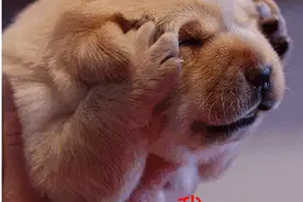 身份证130开头的，这些话再不听就消失了！图片