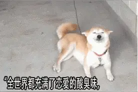 520安妮火男出击，LOL国际烧烤节烧散一对是一对图片