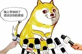 单身狗的独木舟屹立不倒图片