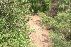 章丘一游客邹平爬山遇险，被成功救出图片
