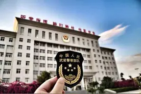 哇！武警新式臂章这么帅图片