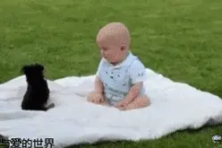 狗狗与宝宝在一起玩耍的温馨画面，两个单纯的小家伙，萌爆了！图片