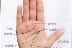 今天我们来了解了解“手纹”图片