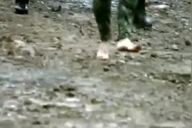 特种兵之火凤凰：女兵光脚跑步 男特种兵懵了视频封面