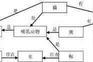 微课网络化及可视化的建模图片