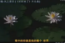 张翰演唱《风之诺言》（《杉杉来了》片头曲）他唱歌还真不错视频封面