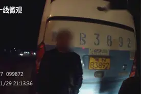 警示：大客车行李箱内居然藏着两头活体野猪视频封面