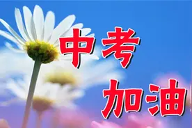 中考数学“临时抱佛脚”攻略一：几何综合型问题图片