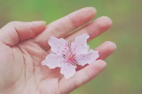 优质的生命，要经得起 “ 沉浮 "图片