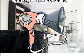 关于伊丽莎白圈的奇妙幻想图片