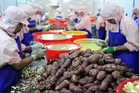 政策 | 农产品初加工补助资金已下达 该如何申请？图片