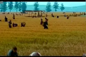 郑庄公派士兵掠夺了周天子的麦田？原因让人瞠目结舌！视频封面