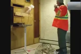 老外故意踩碎鹦鹉的鸟笼，气的鹦鹉破口大骂！视频封面